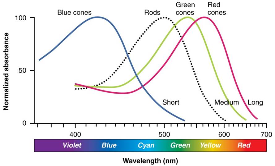 color-wavelength