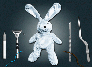 兔子手术标本